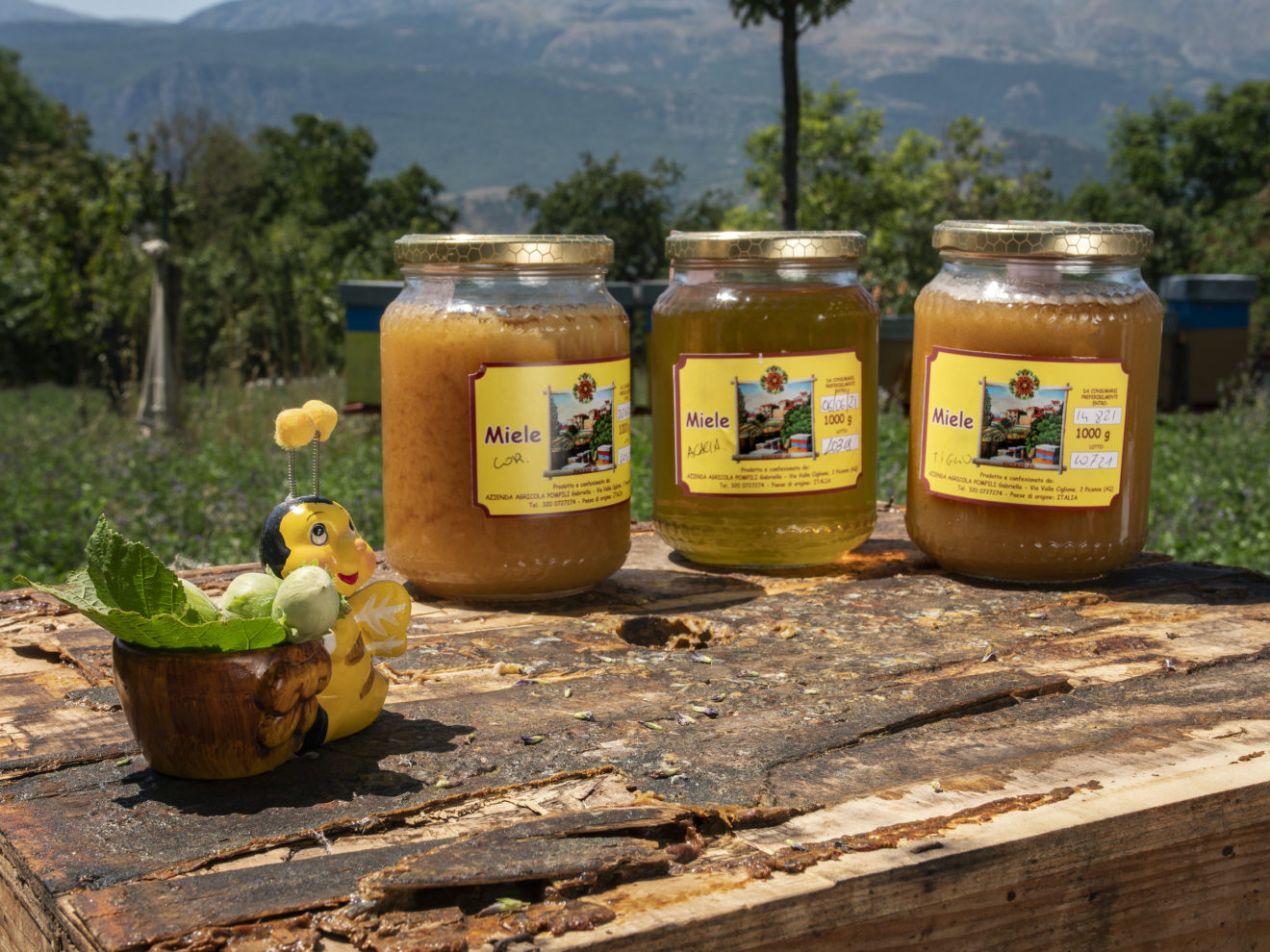 Miele, azienda agricola gabriella pompilii