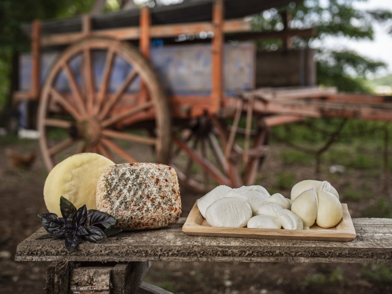 Formaggi della fattoria cannito