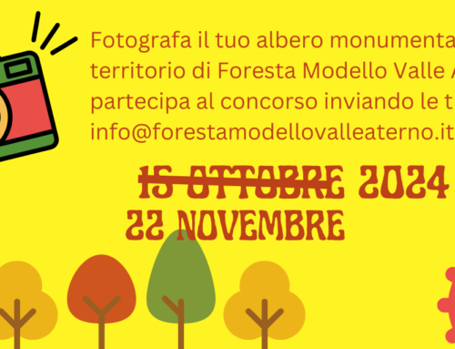 Nuova scadenza Concorso Fotografico “Alberi Monumentali di Foresta Modello Valle Aterno”