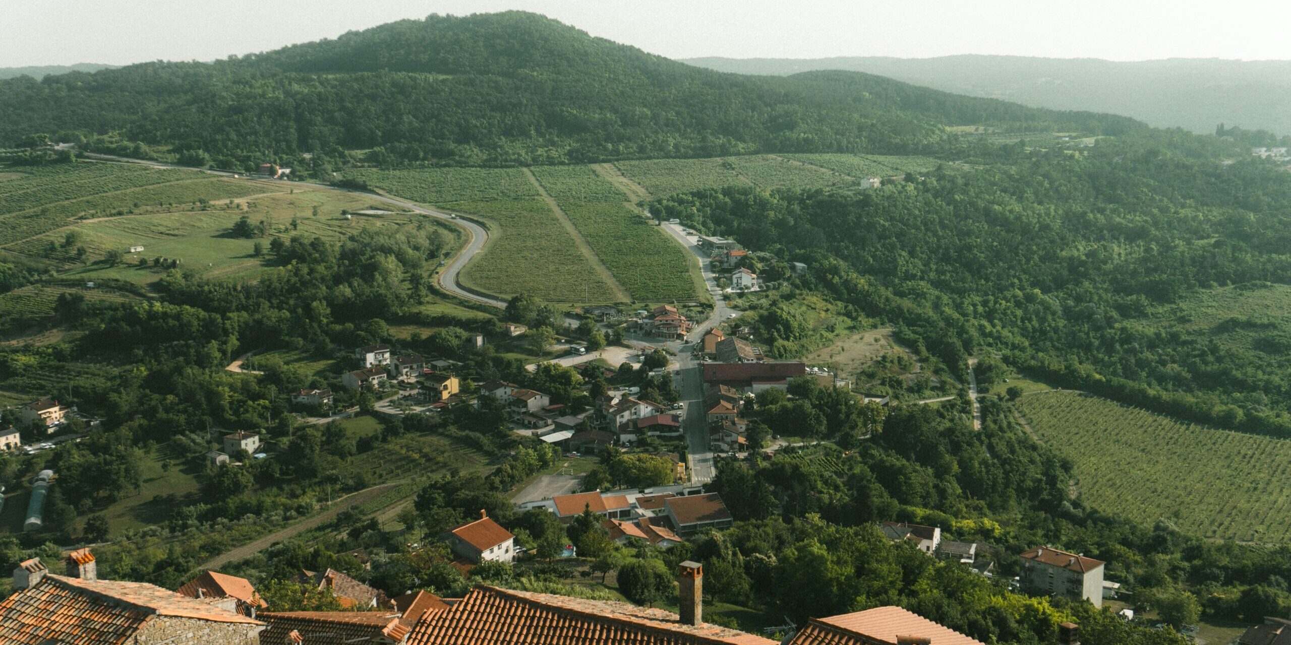 dominik-puskas-MWvBf9RFSi4-unsplash