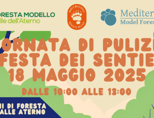 Giornata e Festa dei sentieri 18 maggio 2025