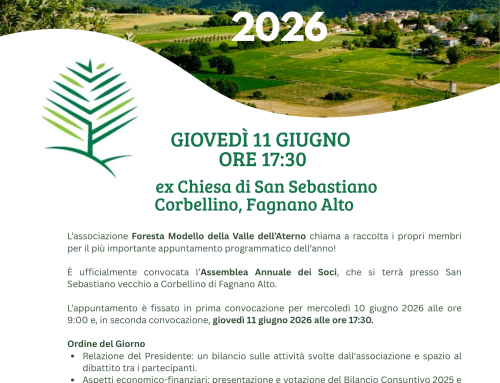Assemblea soci 2026