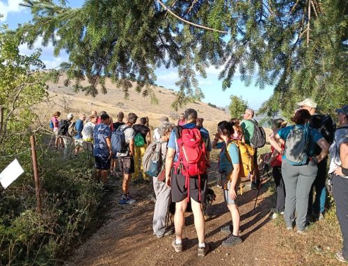 Il racconto e i prossimi appuntamenti delle nostre passeggiate patrimoniali